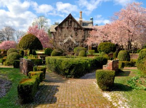 Long Island University