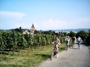 Carl Duisberg Centren