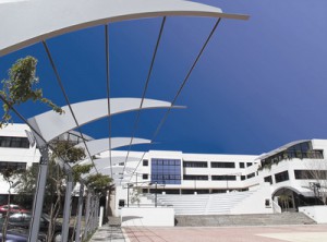 The University of Nicosia