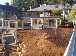 Braemar College