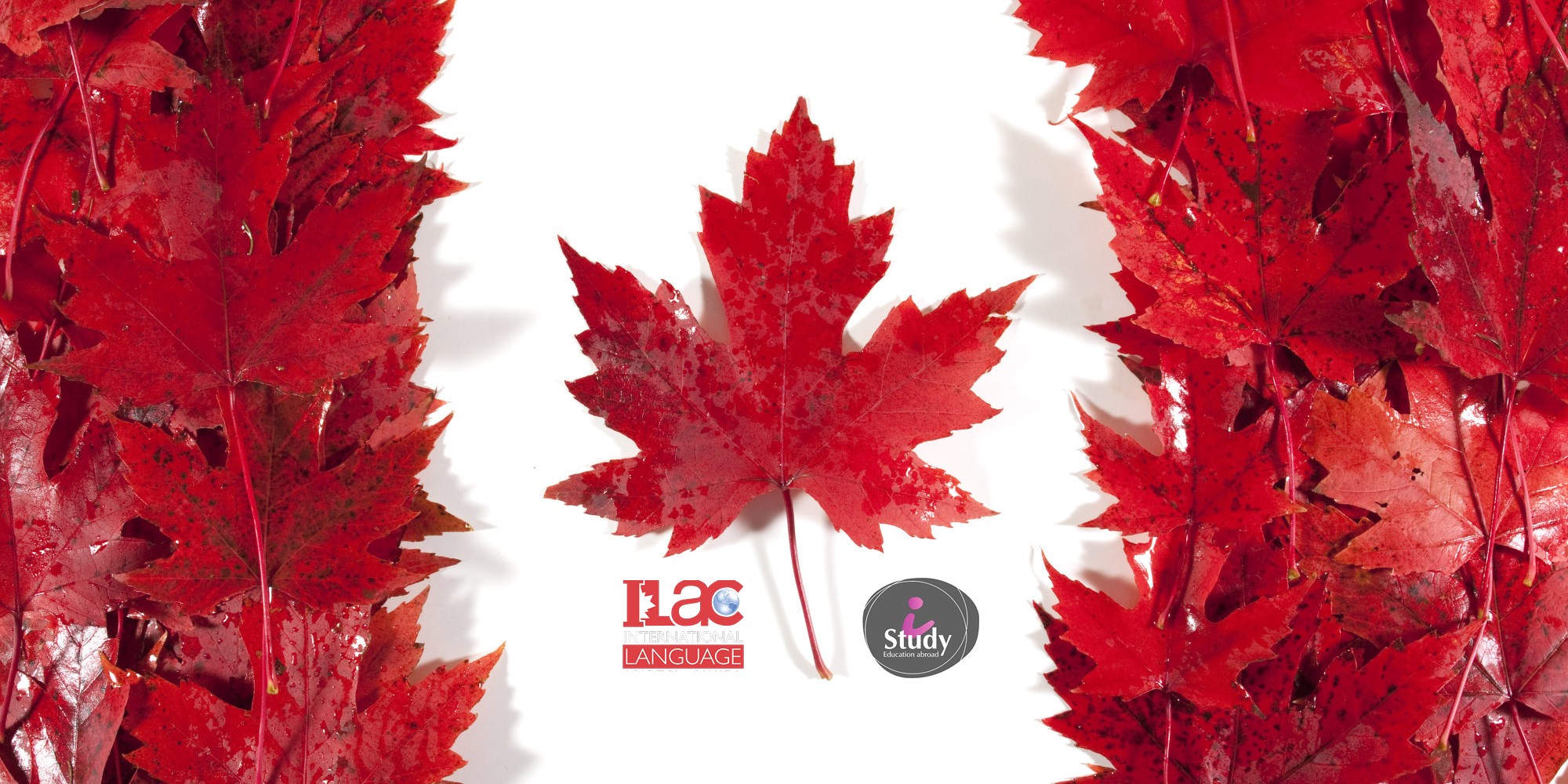Скидки от ILAC Academy of Canada